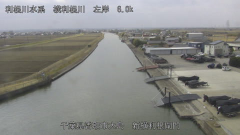 yoko2026021612_image