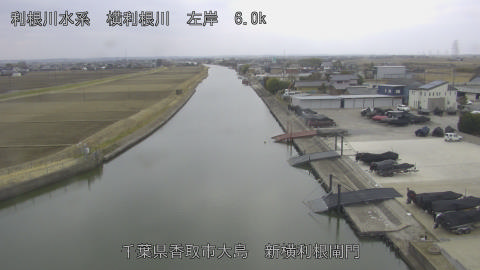 yoko2026021613_image