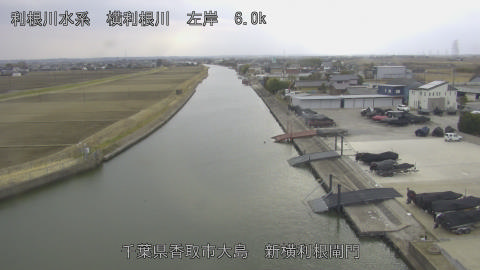 yoko2026021615_image