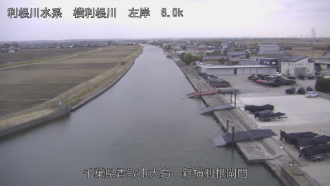 yoko2026021617_image