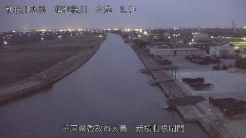 yoko2026021618_image