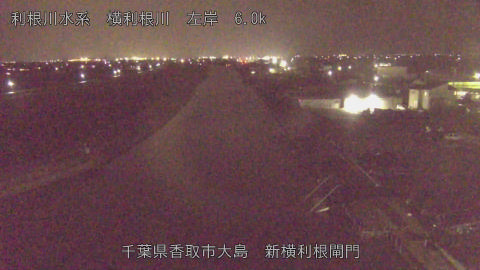 yoko2026021621_image