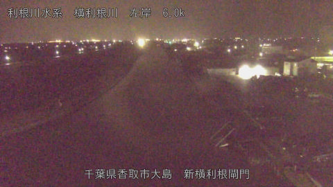 yoko2026021622_image