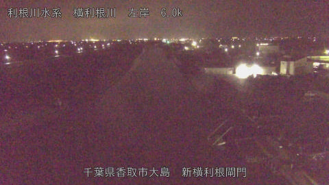 yoko2026021700_image