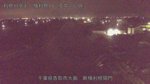 yoko2026021701_image