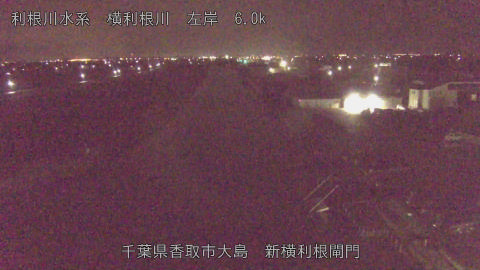 yoko2026021702_image