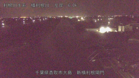 yoko2026021703_image