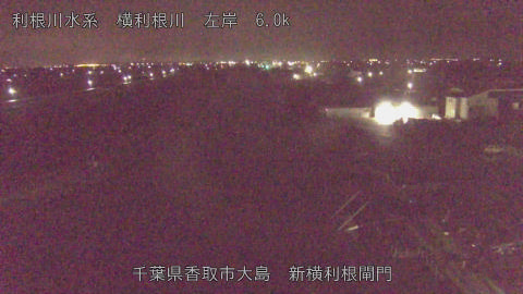 yoko2026021704_image