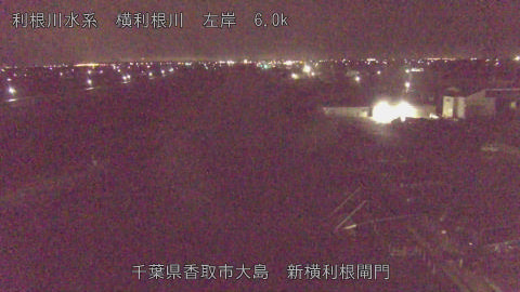 yoko2026021705_image