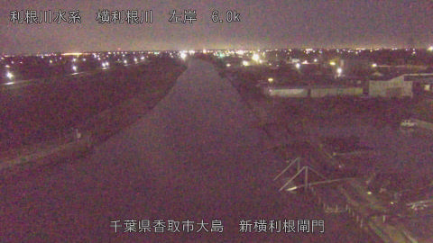 yoko2026021706_image