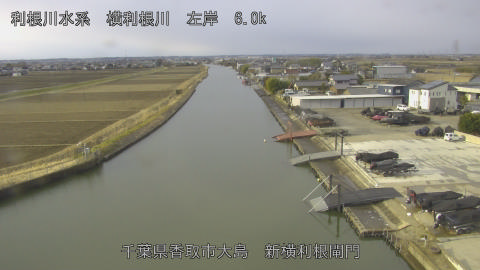 yoko2026021708_image