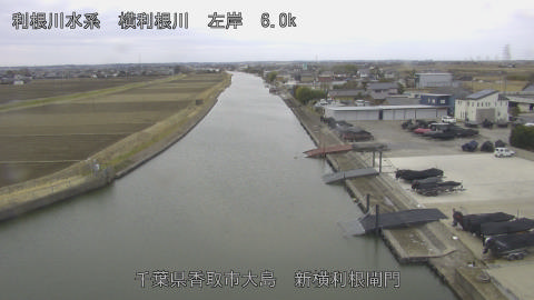 yoko2026021710_image