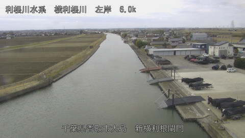 yoko2026021711_image