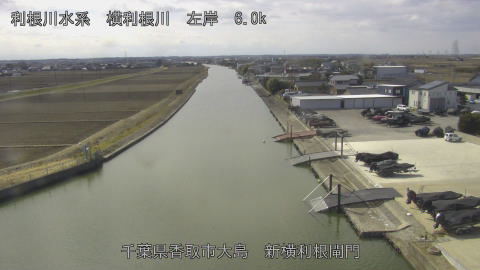 yoko2026021712_image