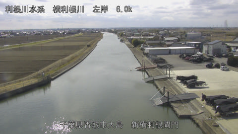 yoko2026021713_image