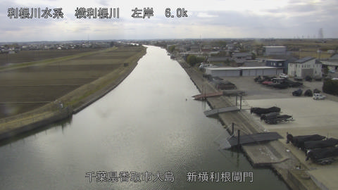 yoko2026021714_image