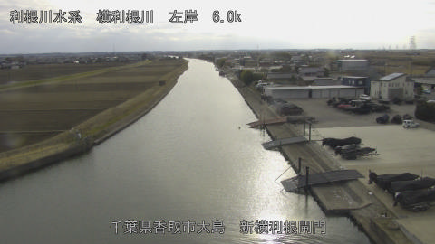 yoko2026021715_image