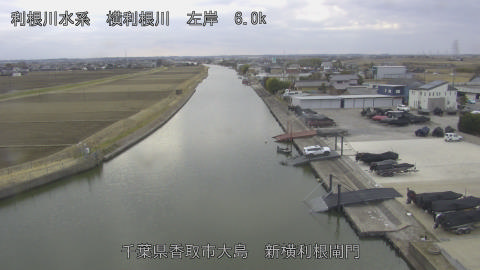 yoko2026021716_image