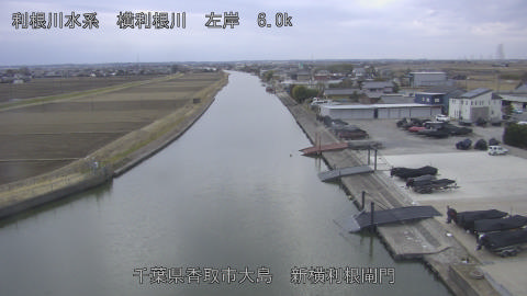 yoko2026021717_image