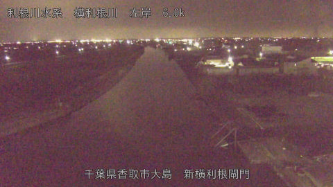 yoko2026021719_image