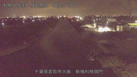 yoko2026021720_image