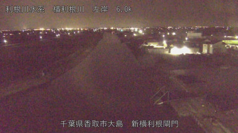 yoko2026021721_image