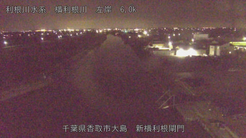 yoko2026021722_image