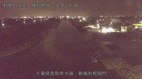 yoko2026021723_image