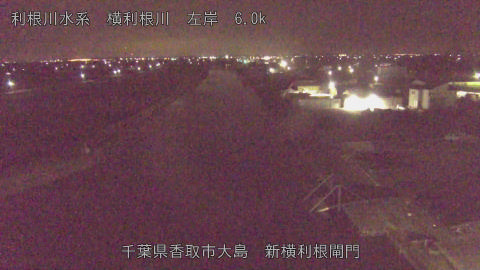 yoko2026021801_image