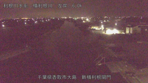 yoko2026021802_image