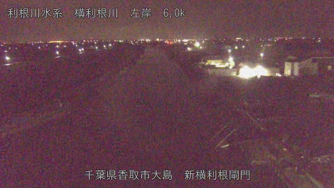 yoko2026021803_image