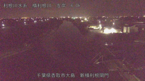 yoko2026021805_image