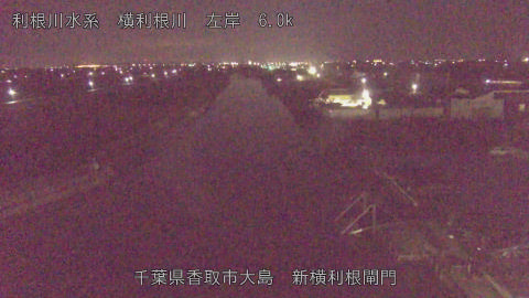 yoko2026021806_image