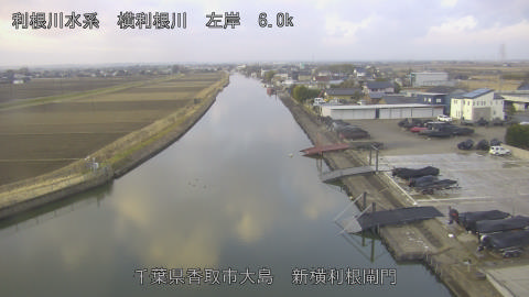 yoko2026021807_image