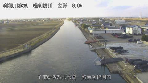 yoko2026021808_image