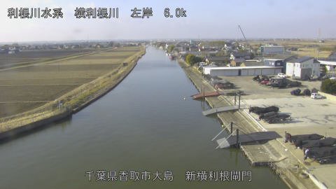 yoko2026021809_image