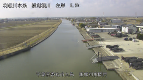 yoko2026021810_image