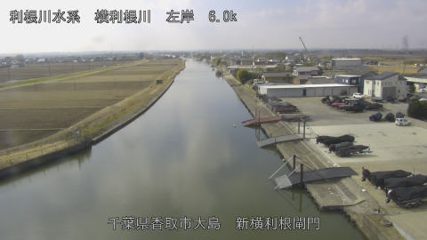 yoko2026021811_image