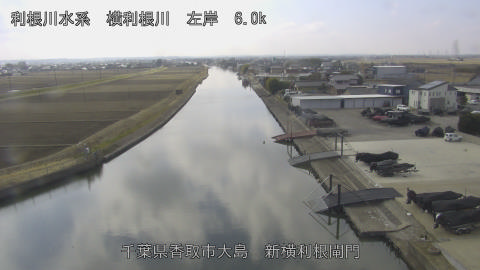 yoko2026021812_image