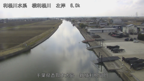 yoko2026021813_image