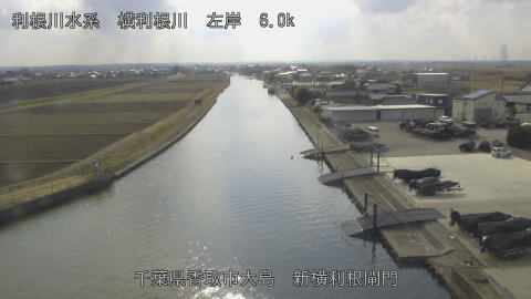 yoko2026021814_image