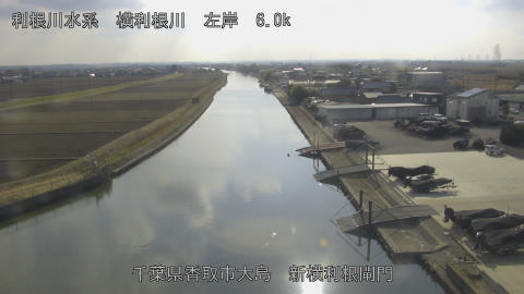 yoko2026021815_image