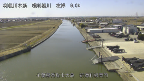 yoko2026021912_image