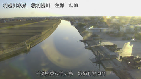 yoko2026021918_image