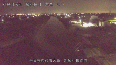 yoko2026021921_image