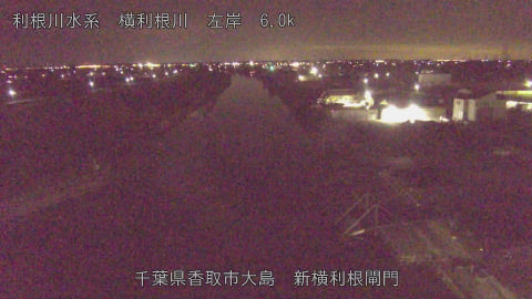 yoko2026022000_image