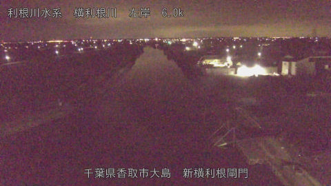 yoko2026022002_image