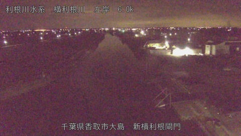 yoko2026022003_image