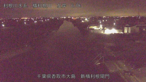 yoko2026022004_image