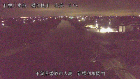 yoko2026022005_image